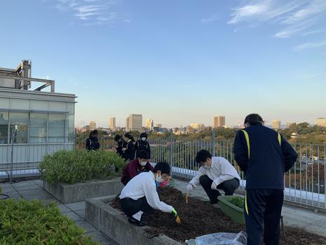 屋上庭園
